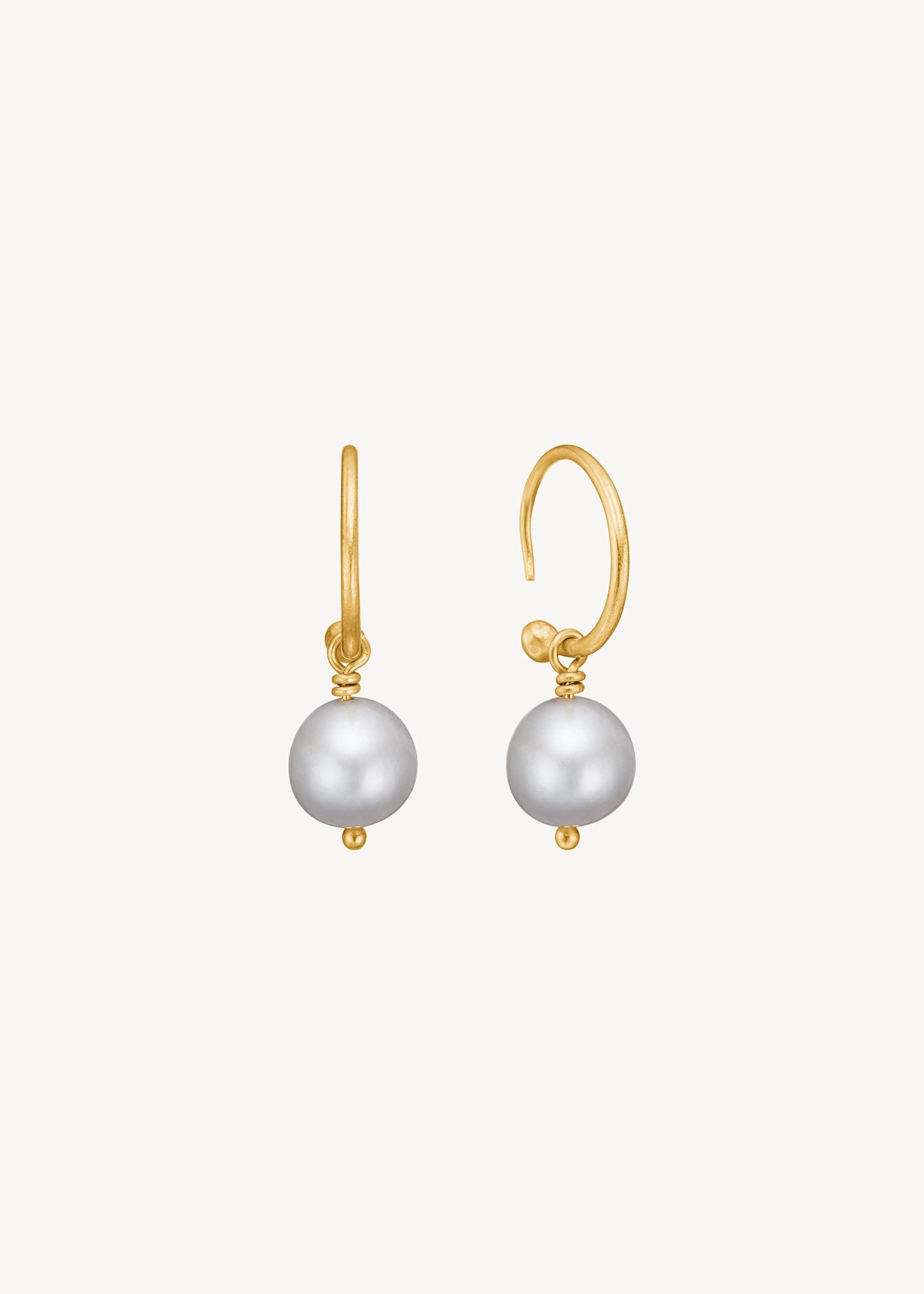 Oyster earrings with grey Freshwater Pearl - gold plated