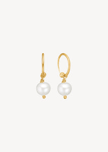 Oyster earrings with white Freshwater Pearl - gold plated