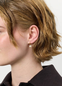 Oyster earrings with white Freshwater Pearl - gold plated