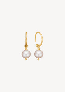 Oyster earrings with pink Freshwater Pearl - gold plated