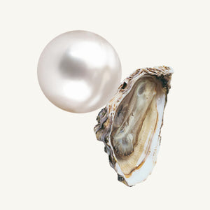 A round freshwater pearl and an oyster shell on a beige background