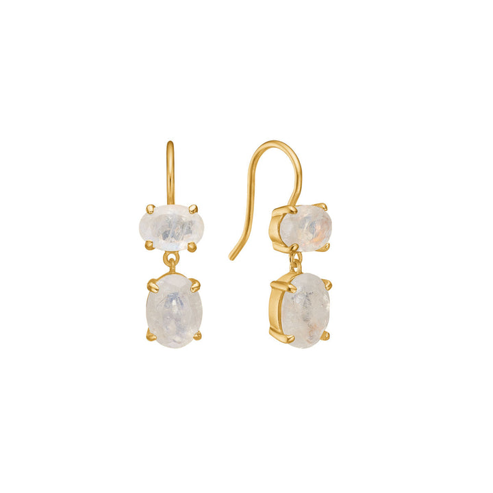 Arabella earrings with Rainbow Moonstone - gold plated